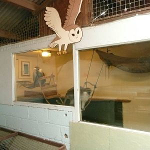 Vervet monkey indoor housing