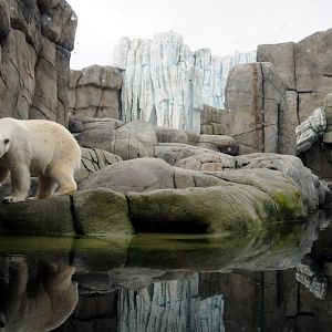 Polarbearenclosure at Hamburg