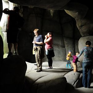 Viewing area in the Eismeer at Hamburg