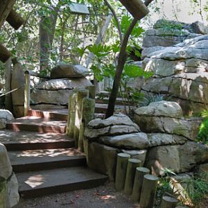 Jungle Trails aviary