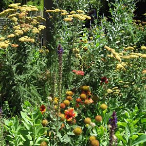 flowers near food stand