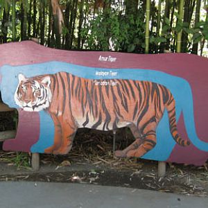 tiger comparison sign