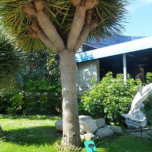 Zoo Barcelona 23.5.12