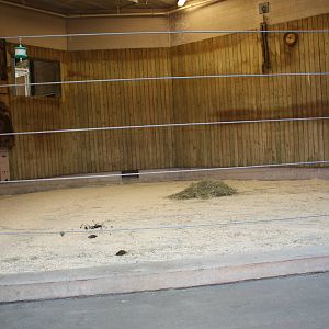 Fabric of Africa- African Elephant Indoor Exhibit