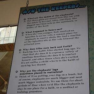 Fabric of Africa- African Elephant Insiders