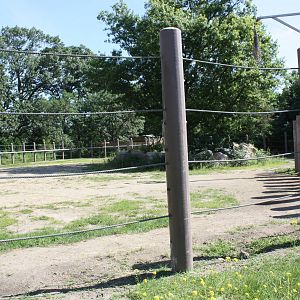 Fabric of Africa- African Elephant Exhibit