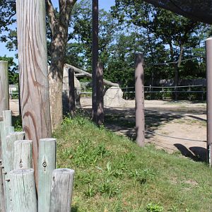 Fabric of Africa- African Elephant Exhibit