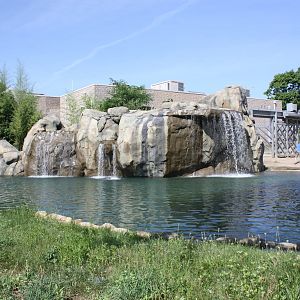 Fabric of Africa- African Elephant Pool