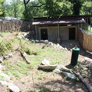 Marco Polo Trek- New Takin Exhibit