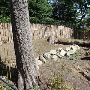 Marco Polo Trek- New Takin Exhibit