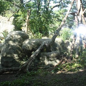 Marco Polo Trek- Snow Leopard Exhibit