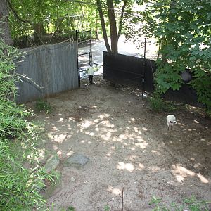 Marco Polo Trek- Red-Crowned Crane Exhibit