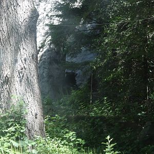 Marco Polo Trek- Asiatic Black Bears