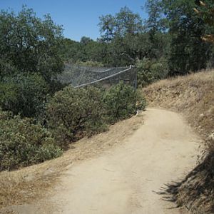 main pathway
