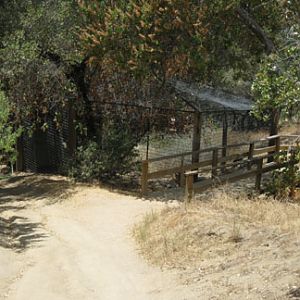 snow leopard exhibit