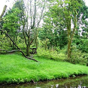 Lemur Island at Wissel Zoo, Epe, 01/06/12