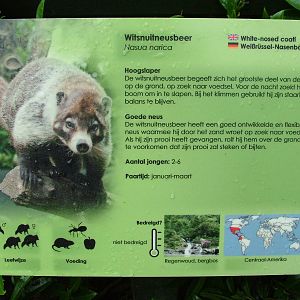 Signage Example at Wissel Zoo, Epe, 01/06/12