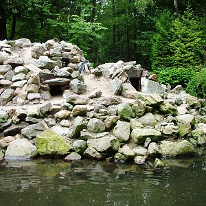 Penguin Pool at Wissel Zoo, Epe, 01/06/12