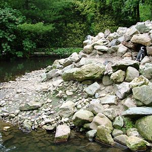 Penguin Pool at Wissel Zoo, Epe, 01/06/12
