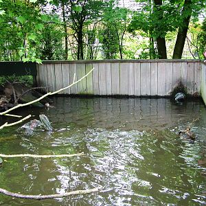 Otter Exhibit at Wissel Zoo, Epe, 01/06/12