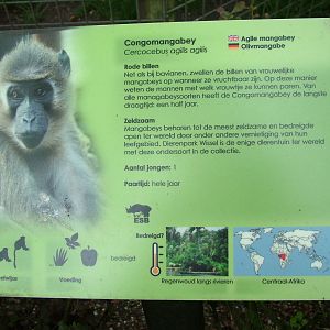 Signage Example at Wissel Zoo, Epe, 01/06/12