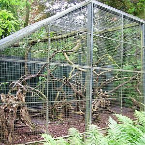 Tree Kangaroo Enclosure at Wissel Zoo, Epe, 01/06/12