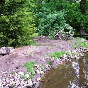 Meerkat Island at Wissel Zoo, Epe, 01/06/12
