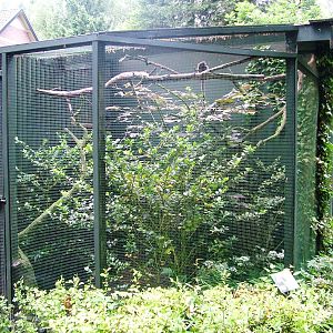 Callitrichid Enclosure at Wissel Zoo, Epe, 01/06/12