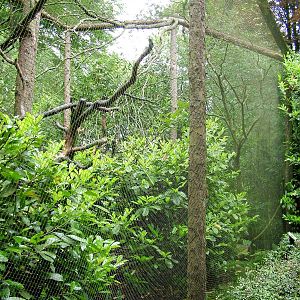 Monkey Enclosure at Wissel Zoo, Epe, 01/06/12