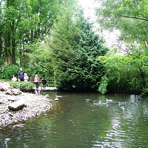 Penguin Pool at Wissel Zoo, Epe, 01/06/12