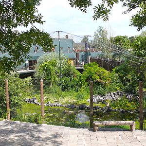 Shoebill aviary, July 2012