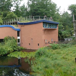 Bonobo House, July 2012