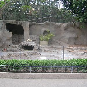 African Wild Dog Exhibit