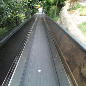 Moving Walkway Inside the Zoo