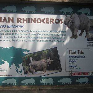 Jul. 2012-Rhino sign