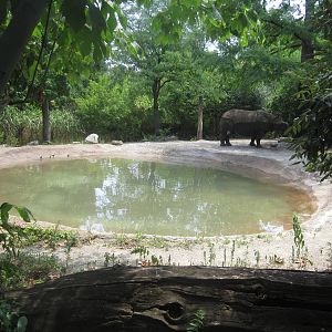 Jul. 2012-First Indian Rhinoceros Exhibit