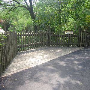 Jul. 2012-Okapi/Yellow-backed Duiker exhibit viewing
