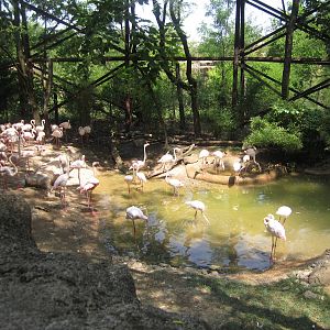 Jul. 2012-Left Side of Flamingo Cove