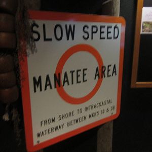 Jul. 2012-Manatee Springs Sign