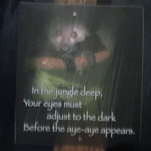Jul. 2012-Aye-aye sign