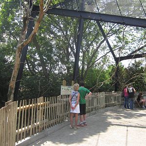 Jul. 2012-Lorikeet Landing