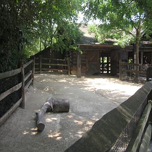 Jul. 2012-Jacob Sheep exhibit