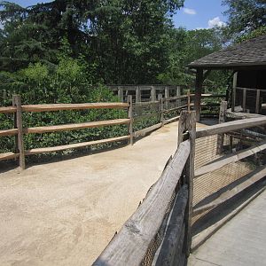 Jul. 2012-Miniature Cattle exhibit
