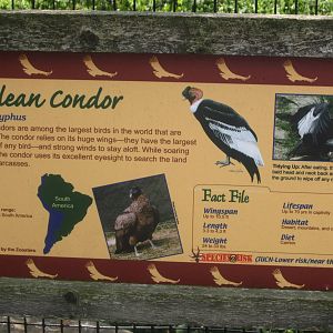 Jul. 2012-Condor sign