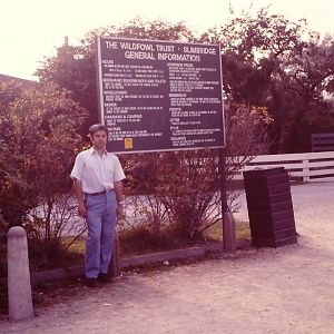 Bongorob at Slimbridge 1986
