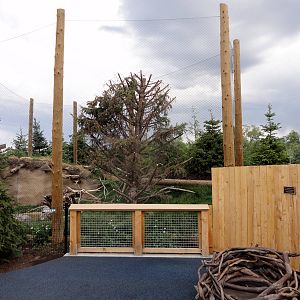 Rocky Shores - Bald Eagle Exhibit