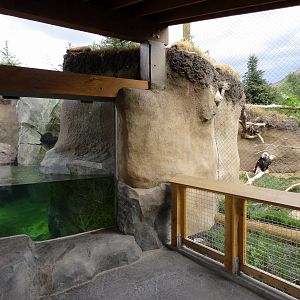 Rocky Shores - River Otter and Bald Eagle Exhibits