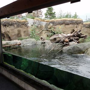 Rocky Shores - River Otter Exhibit