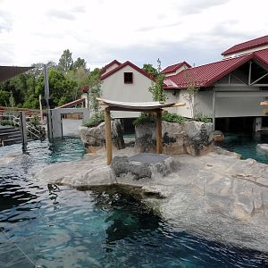 Rocky Shores - Seal/Sea Lion Exhibit