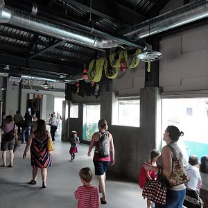 Rocky Shores - Main Building Hallway